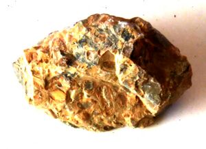 Leopardiit3.JPG
