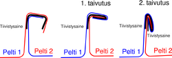 Pystysauma.png