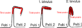 Thumbnail for version as of 12:32, 29 June 2025
