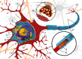 Thumbnail for version as of 08:54, 22 September 2022
