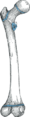 Thumbnail for version as of 21:33, 5 October 2025